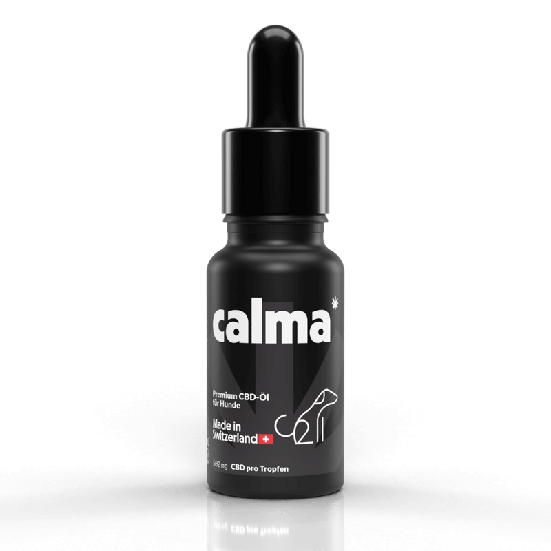 Olej CBD dla psów 🐶