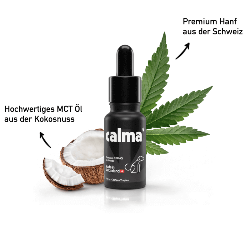 Najwyższej jakości olej CBD 10%