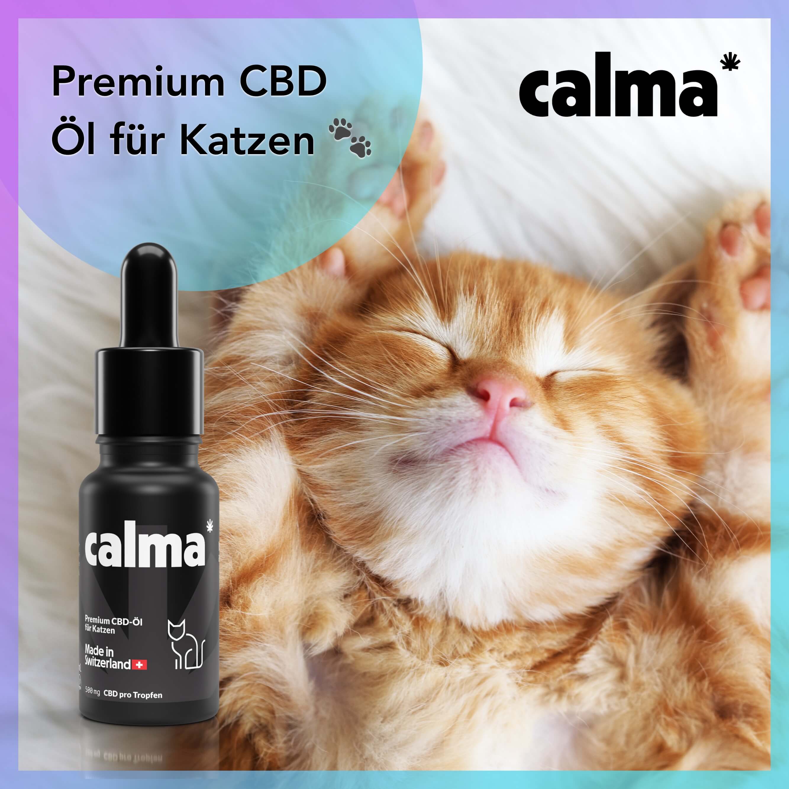 Olej CBD dla kotów 🐱