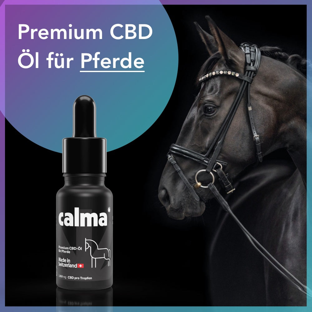 Olej CBD dla koni 🐴